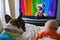 french bulldog with baby, colorful childrens songs on tv entertain both