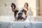 French bulldog in bathtub, soap foam flying all around.