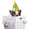 French bulldog in birthday hat reading newspaper