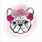 French bulldog with bright rose flowers on a head.