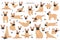 French bulldog clipart. Dog healthy silhouette and yoga poses set