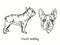 French bulldog collection standing side view and head. Ink black and white doodle drawing