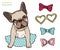 French bulldog. Cute puppy bulldog with accessorises. Dress up your dog vector illlustration