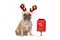 French Bulldog dog with Christmas reindeer antlers next to Santa mail box