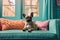 French bulldog dog lying on couch, cute pet on sofa in retro room