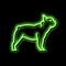 french bulldog dog neon glow icon illustration