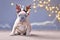 French Bulldog dog puppy wearing seasonal Christmas reindeer antler headband with autumn berries sitting in front of gray wall