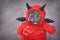 French Bulldog dog with red Halloween devil costume wearing with fake arms holding pitchfork