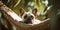 French Bulldog dog relaxing in hammock under tropical palm trea leaves. Generative AI