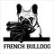 French Bulldog dog with a shotgun and cigar - French Bulldog gangster. Head of angry French Bulldog