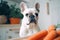 French Bulldog dog suiting in front of kitchen counter with raw carrots. Generative ai