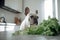 French Bulldog dog suiting in front of kitchen counter with raw lettuce salad