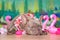 French Bulldog dog with tropical flower garlands and rubber toy flamingos