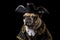 French Bulldog dog wearing pirate hat Halloween costume.
