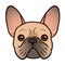 French bulldog face vector cartoon illustration. Cute friendly fat chubby fawn bulldog puppy face. Pets, dog lovers, animal themed