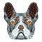 French bulldog head zentangle stylized, vector, illustration, fr
