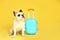 French bulldog with little suitcase on yellow background.