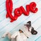 French bulldog with love shape balloon