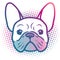 French bulldog puppy face pop art style portrait illustration in bright neon rainbow colors, with halftone dot background,