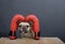 A french bulldog puppy with a funny black muzzle poses between red leather boxing gloves against a gray wall.
