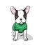 French bulldog puppy illustration. Dressed up cute dog in green sweater on white background