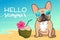 French bulldog puppy wearing reflective sunglasses on a sandy beach, ocean in background, coconut drink, Hello Summer text. Funny