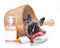 French bulldog puppy in wooden wash on a white background