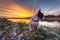 French bulldog sitting at the lake