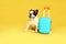 French bulldog with sunglasses and little suitcase on yellow background.