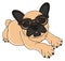 French bulldog in sunglasses lying