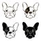 French Bulldog. Vector set of bulldog\'s face. Hand-drawn