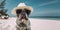French bulldog wearing straw hat and sunglasses on paradise beach with white sand.