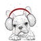 French Bulldog in winter headphones. Print on clothes. Cute puppy. Pedigree dog. Winter