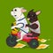 French Bulldogs on a bike