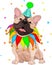 French bulldogâ€™s Birthday