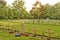 French cemetery from the First World War in Flanders belgium.