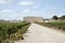 French Chateau and vines in St Julien