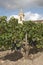 French church and vines at Margaux