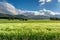 French countryside - Vercors