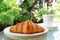 French Croissant with Coffee on a Garden Table