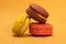 French Delicacy Delight: Colorful Macarons Radiate Sweet Elegance in Snapshot