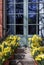 French Door Garden