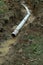 French Drain Outlet