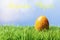 French easter greeting text; Yellow easter egg in grass