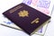 French and european passport close up