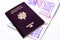 French and european passport close up