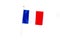 French flag isolated on white background.