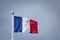 French flag waving in the air on a waterfront with a bird, a seagull, standing on it.