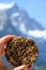 French fresh white soft goat cheese with black pepper topping and view on snowy peak in French Alpes mountains, France