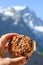 French fresh white soft goat cheese with red and black pepper topping and view on snowy peak in French Alpes mountains, France